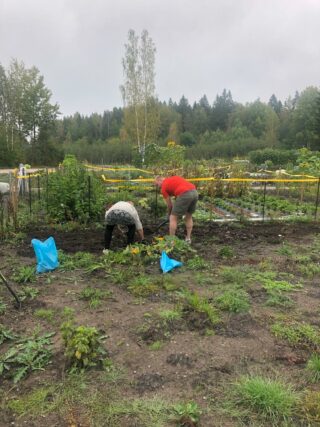 Viljeslyspalstalla kaksi ihmistä istutusten äärellä. Kasvot eivät näy.